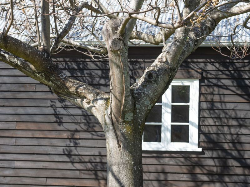 Gabion seating installed